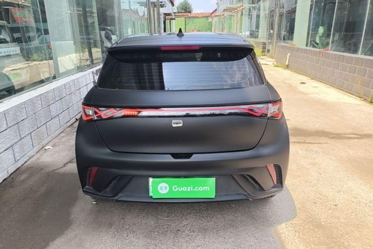 Used BYD Dolphin 2021 405 km Fashion Edition Rear