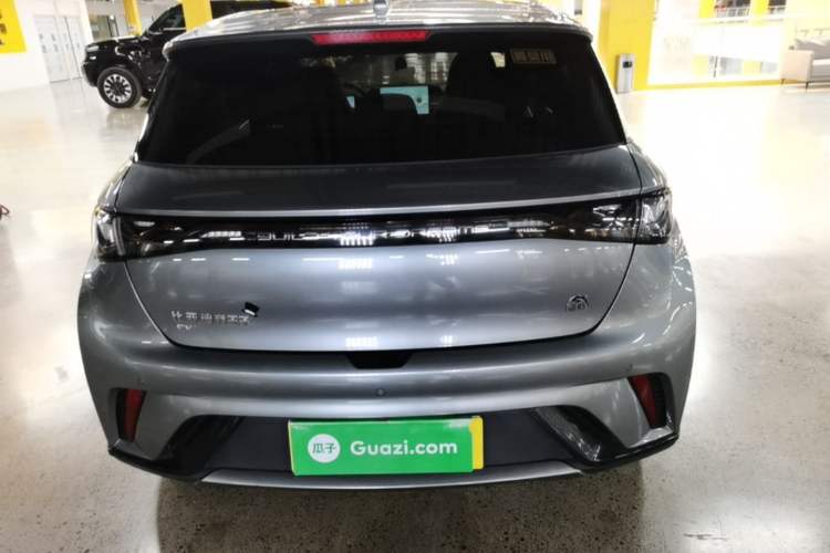 Used BYD Dolphin 2021 405 km Fashion Edition Rear