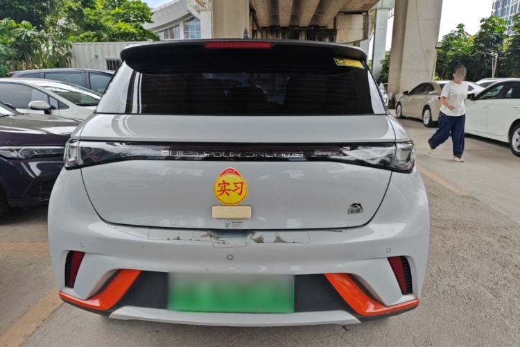 Used BYD Dolphin 2021 405 km Free Version Rear