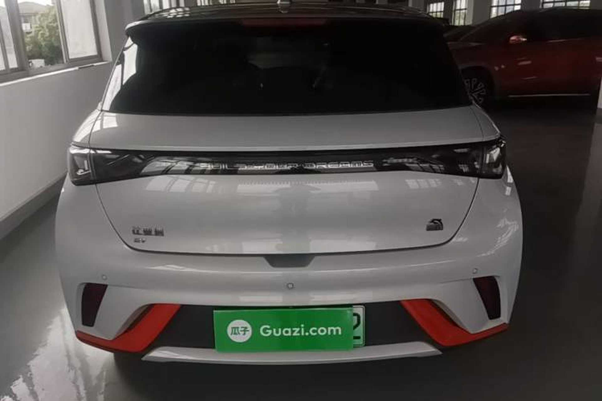 Used BYD Dolphin 2021 405 km Fashion Edition Rear