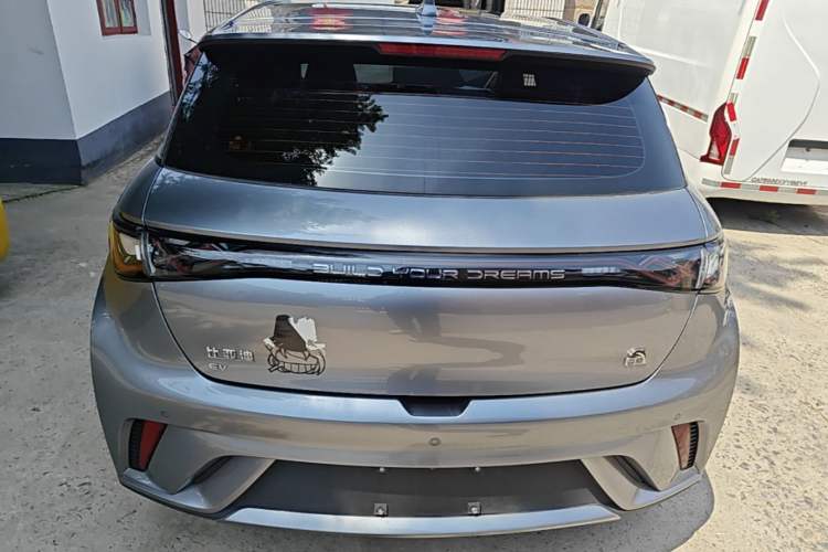 Used BYD Dolphin 2021 405 km Fashion Edition Rear