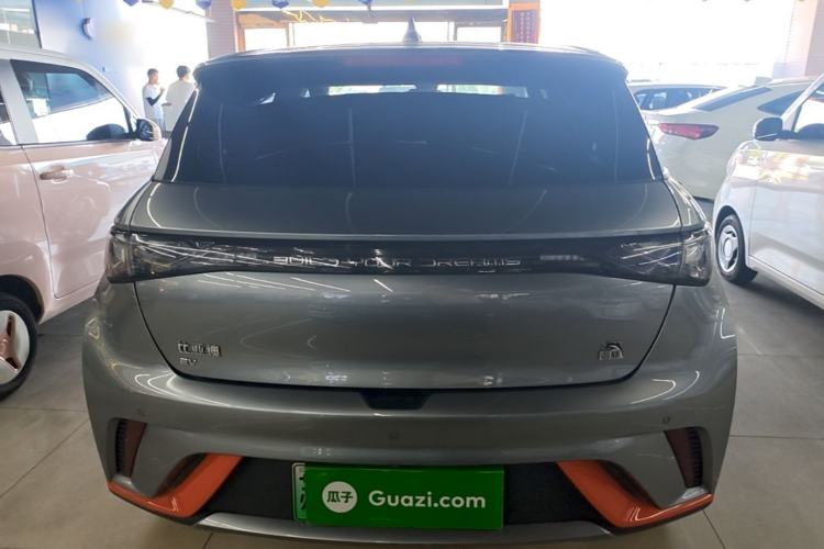 Used BYD Dolphin 2021 405 km Fashion Edition Rear