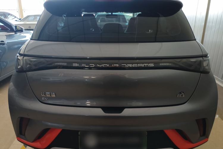 Used BYD Dolphin 2021 405 km Free Version Rear