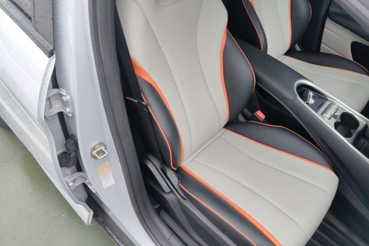 Used BYD Dolphin 2021 405 km Fashion Edition Right Front Seat