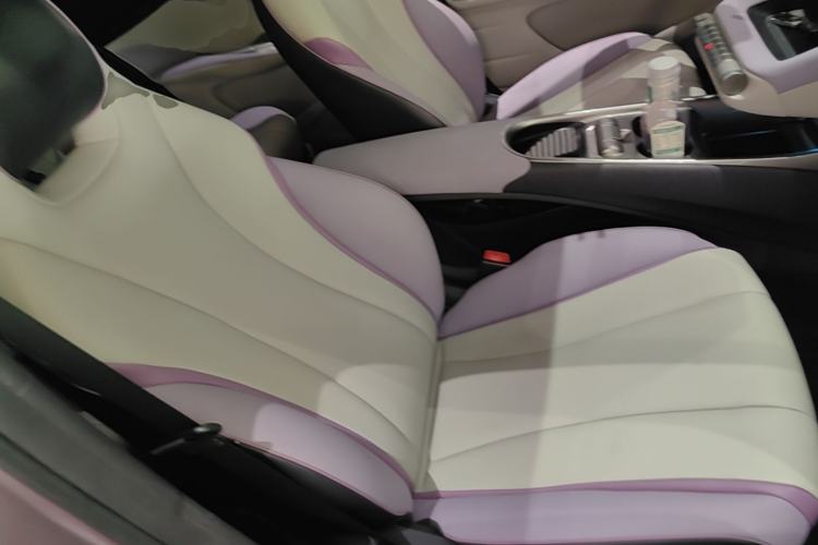 Used BYD Dolphin 2021 405 km Fashion Edition Right Front Seat