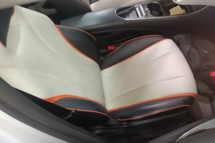 Used BYD Dolphin 2021 405 km Fashion Edition Right Front Seat