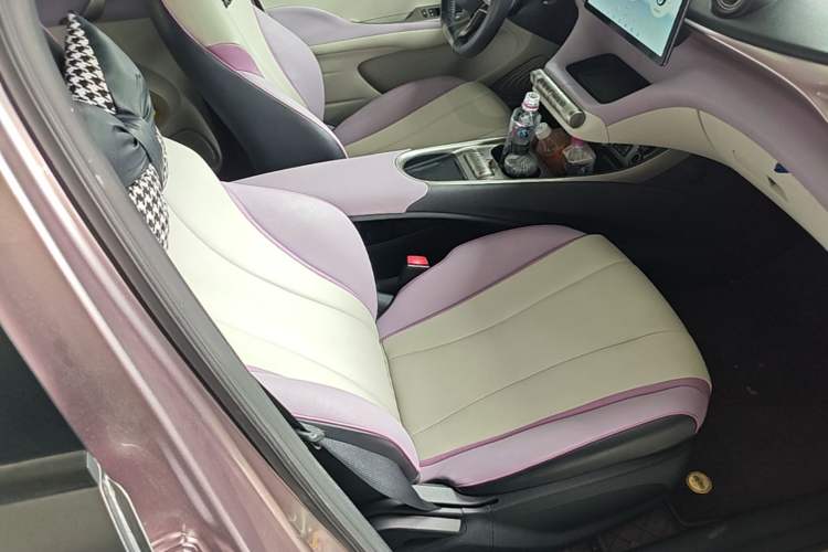 Used BYD Dolphin 2021 405 km Fashion Edition Right Front Seat