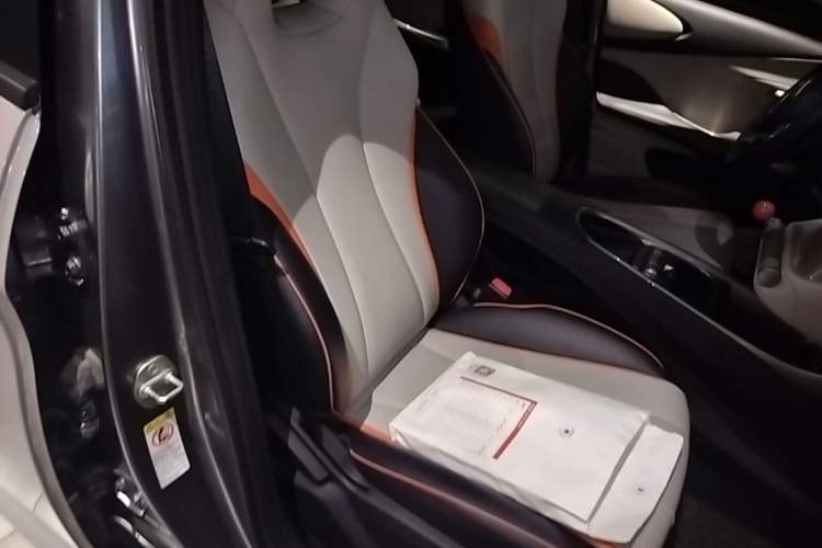 Used BYD Dolphin 2021 405 km Fashion Edition Right Front Seat
