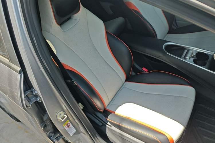 Used BYD Dolphin 2021 405 km Fashion Edition Right Front Seat