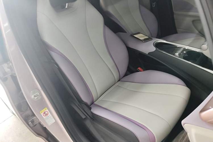 Used BYD Dolphin 2021 405 km Free Version Right Front Seat