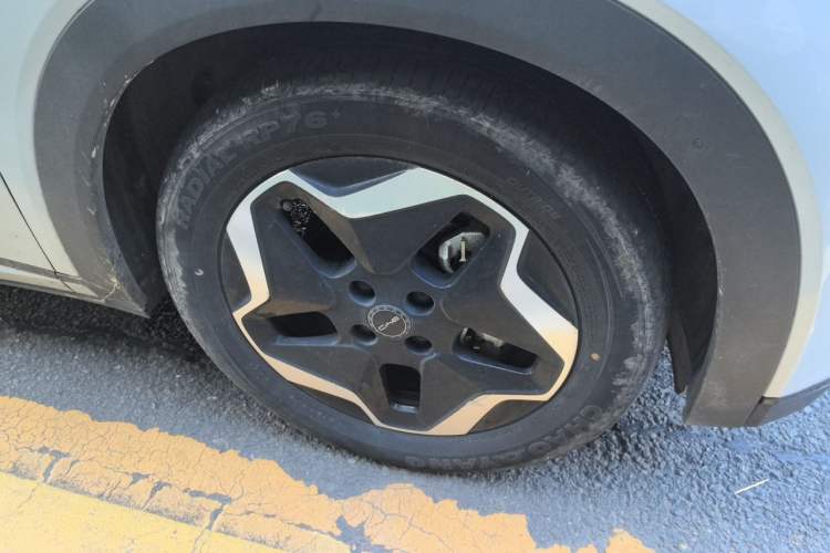 Used BYD Dolphin 2021 405 km Free Version Right Front Wheel Hub
