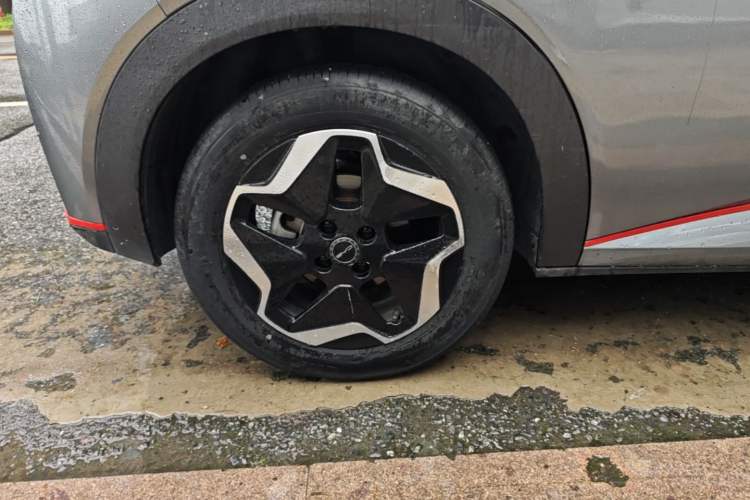 Used BYD Dolphin 2021 405 km Free Version Right Rear Wheel Hub