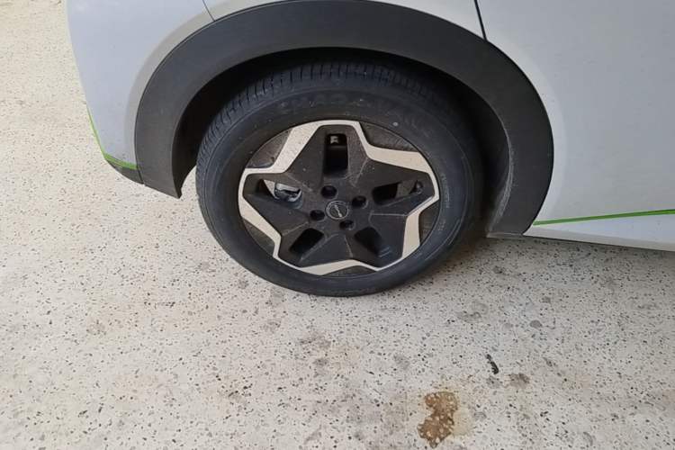 Used BYD Dolphin 2021 405 km Fashion Edition Right Rear Wheel Hub