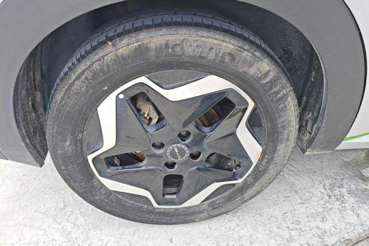 Used BYD Dolphin 2021 405 km Fashion Edition Right Rear Wheel Hub