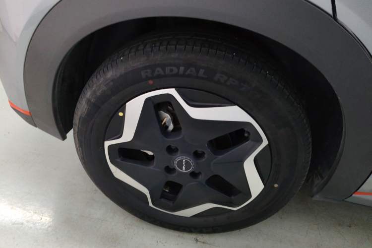 Used BYD Dolphin 2021 405 km Fashion Edition Right Rear Wheel Hub
