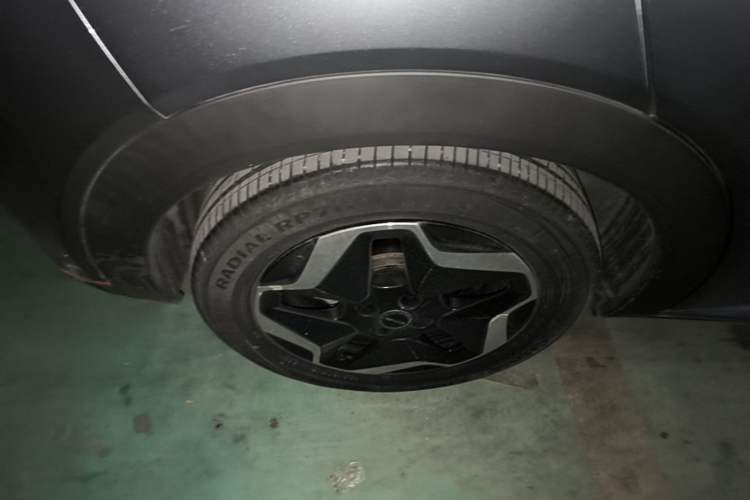 Used BYD Dolphin 2021 405 km Fashion Edition Right Rear Wheel Hub