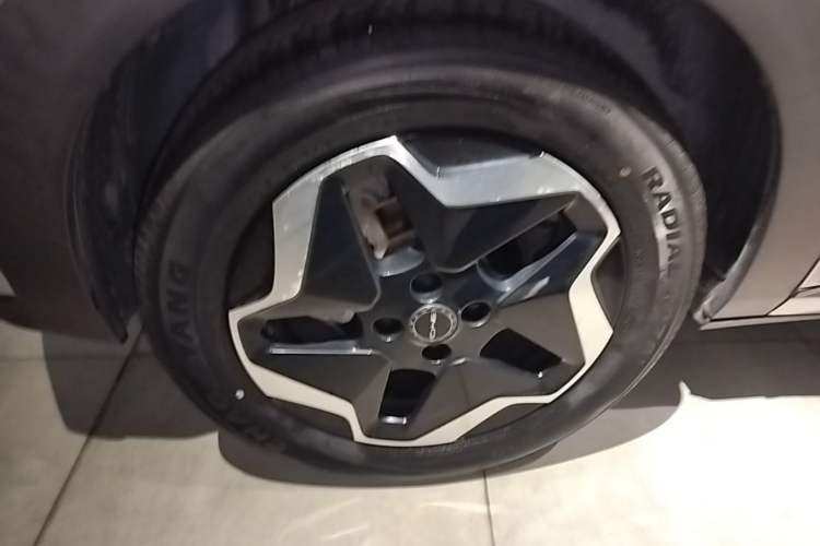Used BYD Dolphin 2021 405 km Fashion Edition Right Rear Wheel Hub