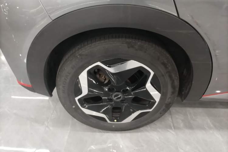 Used BYD Dolphin 2021 405 km Fashion Edition Right Rear Wheel Hub