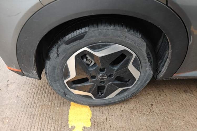 Used BYD Dolphin 2021 405 km Fashion Edition Right Rear Wheel Hub