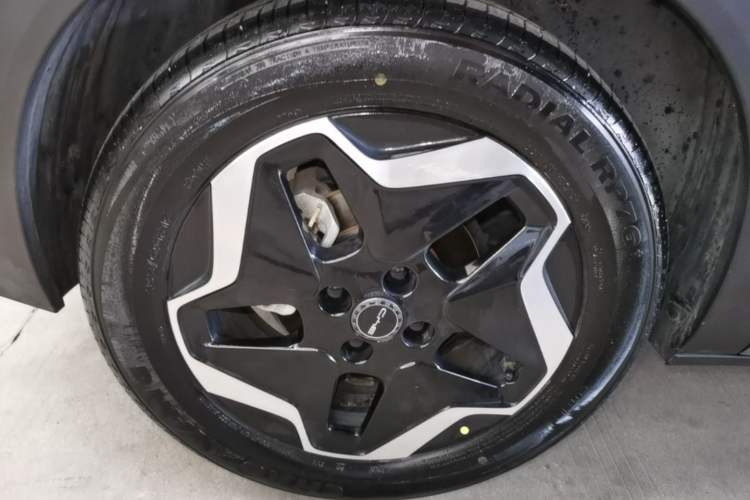 Used BYD Dolphin 2021 405 km Fashion Edition Right Rear Wheel Hub