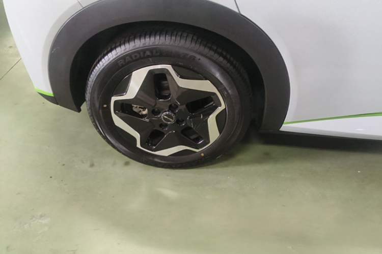Used BYD Dolphin 2021 405 km Fashion Edition Right Rear Wheel Hub