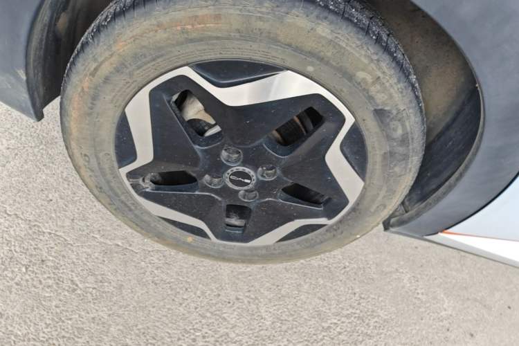Used BYD Dolphin 2021 405 km Free Version Right Rear Wheel Hub
