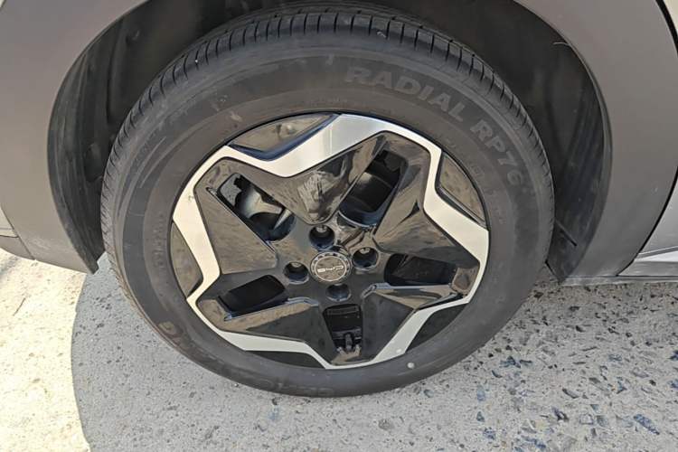 Used BYD Dolphin 2021 405 km Fashion Edition Right Rear Wheel Hub