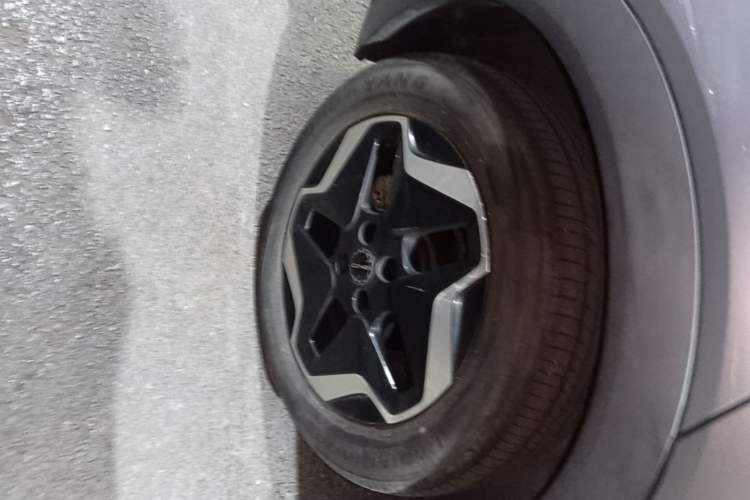 Used BYD Dolphin 2021 405 km Free Version Right Rear Wheel Hub