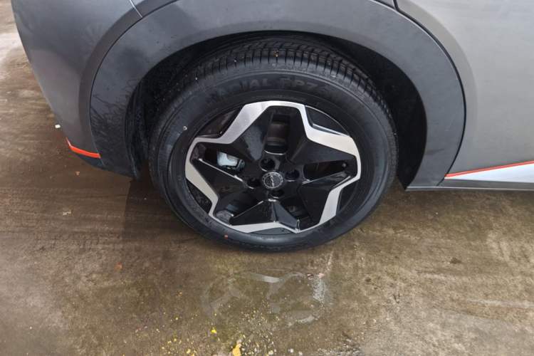 Used BYD Dolphin 2021 405 km Fashion Edition Right Rear Wheel Hub