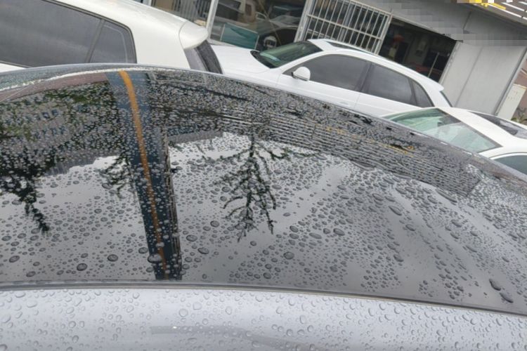 Used BYD Dolphin 2021 405 km Fashion Edition Roof