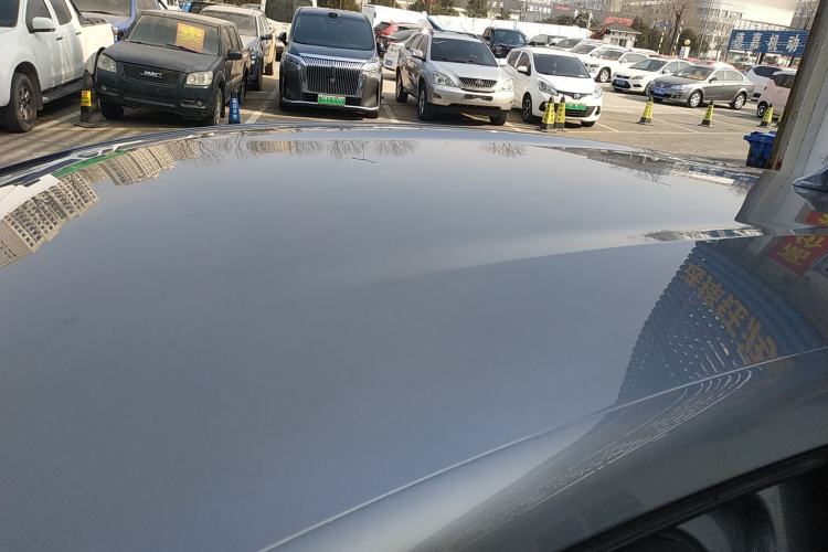Used BYD Dolphin 2021 405 km Free Version Roof