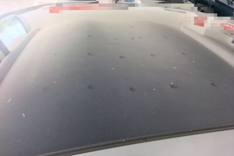 Used BYD Dolphin 2021 405 km Fashion Edition Roof
