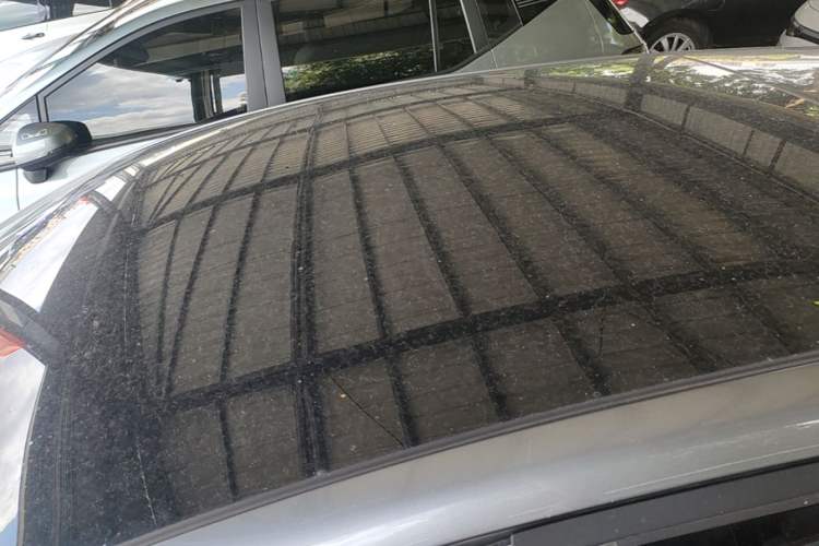 Used BYD Dolphin 2021 401km Knight Edition Roof