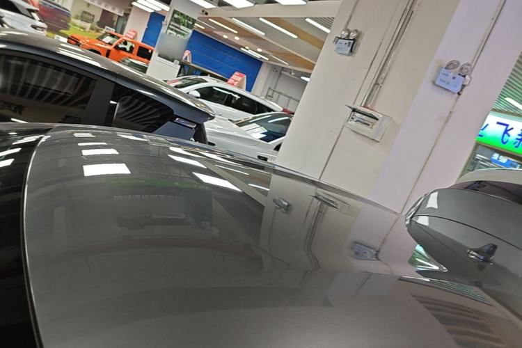 Used BYD Dolphin 2021 405 km Free Version Roof