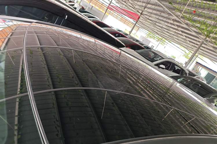 Used BYD Dolphin 2021 405 km Fashion Edition Roof