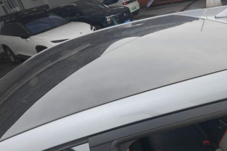Used BYD Dolphin 2021 405 km Fashion Edition Roof