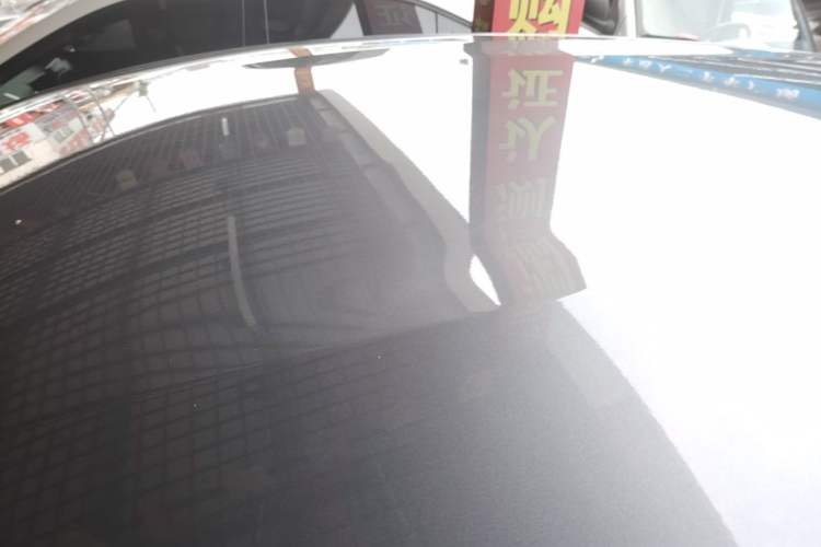 Used BYD Dolphin 2021 405 km Free Version Roof