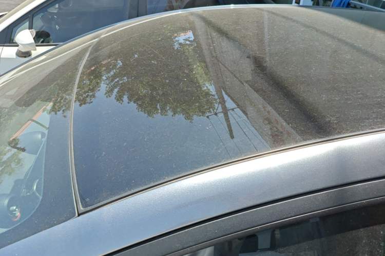 Used BYD Dolphin 2021 405 km Fashion Edition Roof