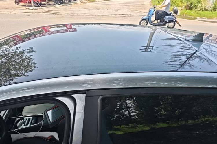 Used BYD Dolphin 2021 405 km Fashion Edition Roof