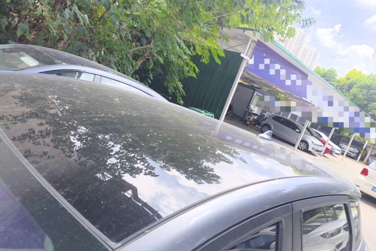 Used BYD Dolphin 2021 405 km Fashion Edition Roof