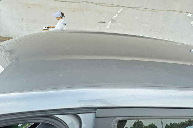 Used BYD Dolphin 2021 405 km Free Version Roof
