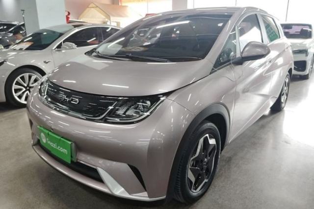 Used BYD Dolphin 2021 405 km Free Version