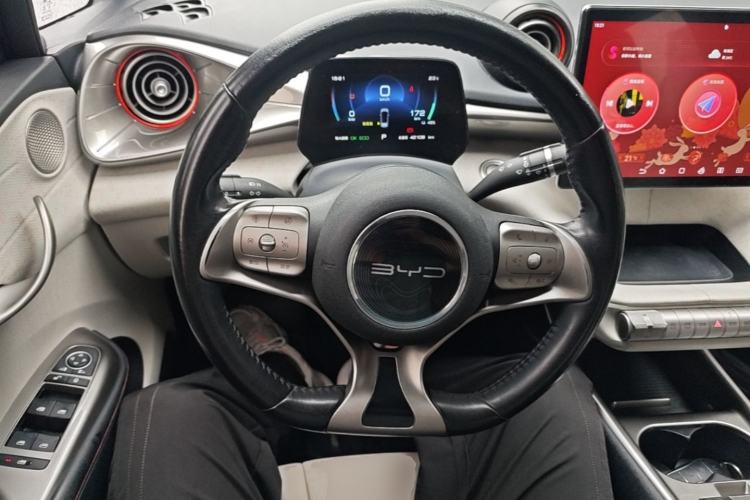 Used BYD Dolphin 2021 405 km Free Version Steering Wheel