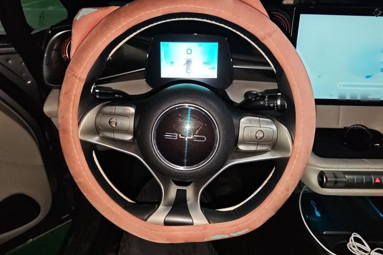 Used BYD Dolphin 2021 405 km Free Version Steering Wheel