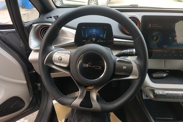 Used BYD Dolphin 2021 405 km Free Version Steering Wheel