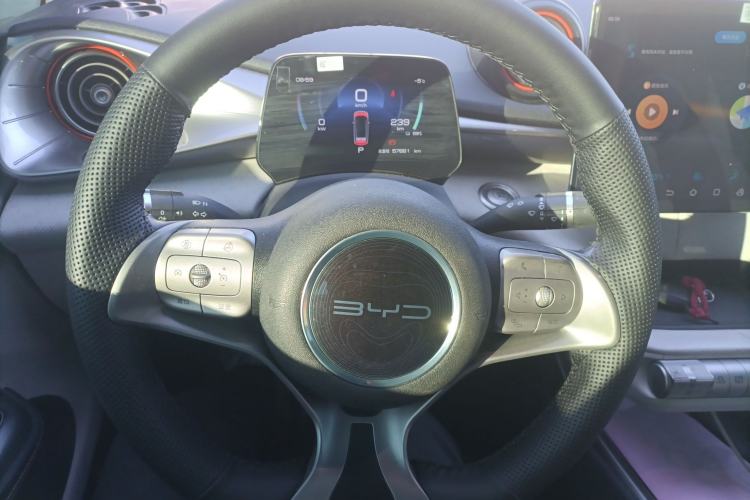 Used BYD Dolphin 2021 405 km Free Version Steering Wheel