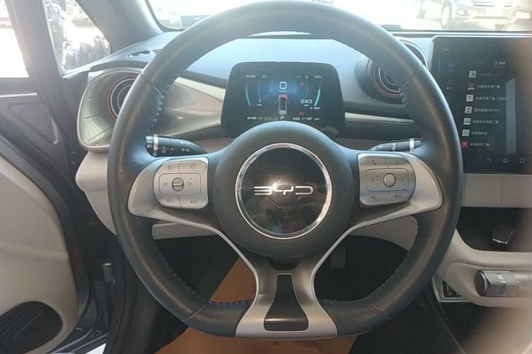 Used BYD Dolphin 2021 405 km Free Version Steering Wheel