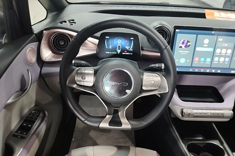 Used BYD Dolphin 2021 405 km Free Version Steering Wheel