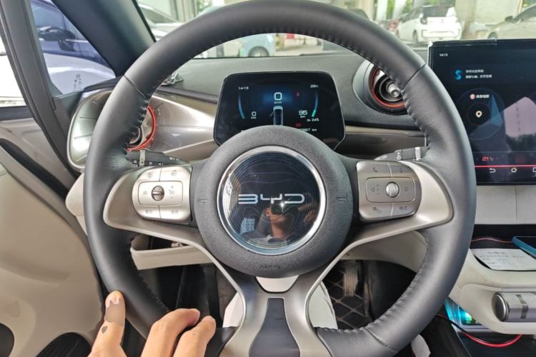 Used BYD Dolphin 2021 405 km Free Version Steering Wheel