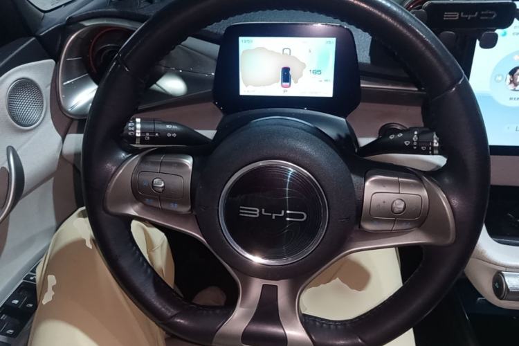 Used BYD Dolphin 2021 405 km Free Version Steering Wheel
